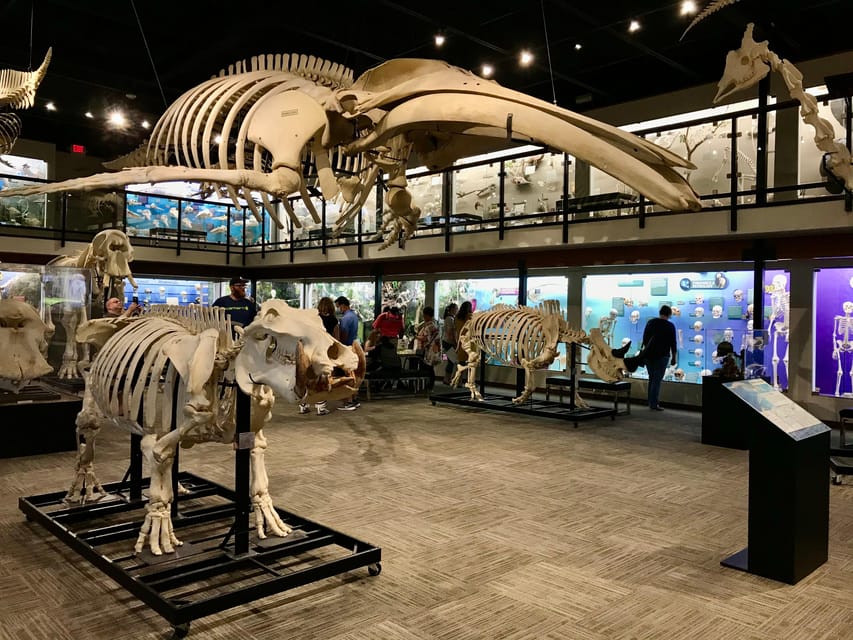 Oklahoma City Skeletons Museum Of Osteology Ticket Getyourguide