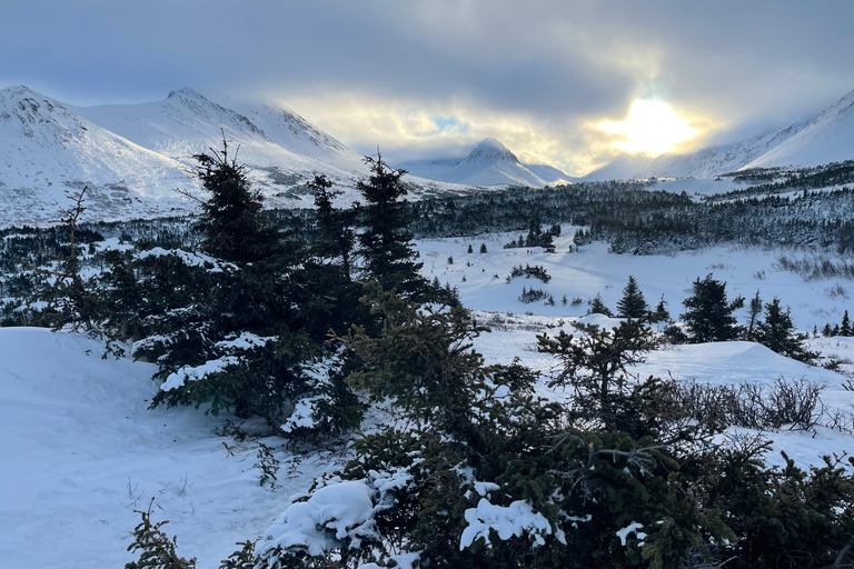 From Anchorage: Glen Alps Beginner's Snowshoeing Adventure