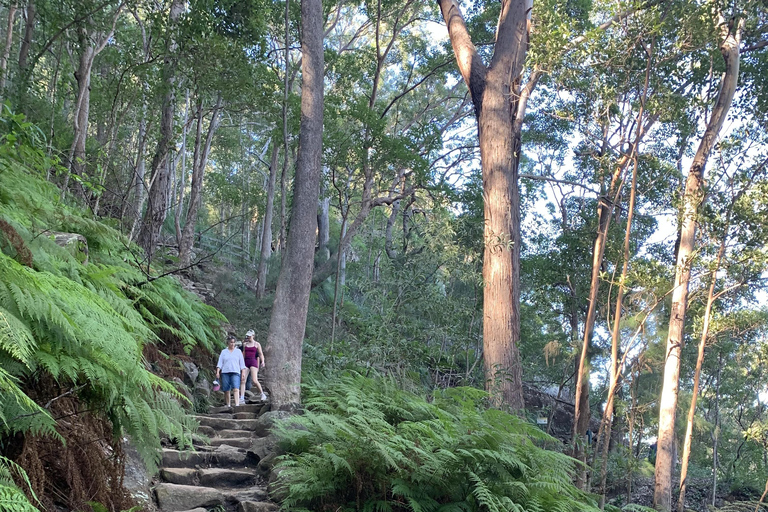 Glass House Mountains & Rainforest Day Tour from Brisbane