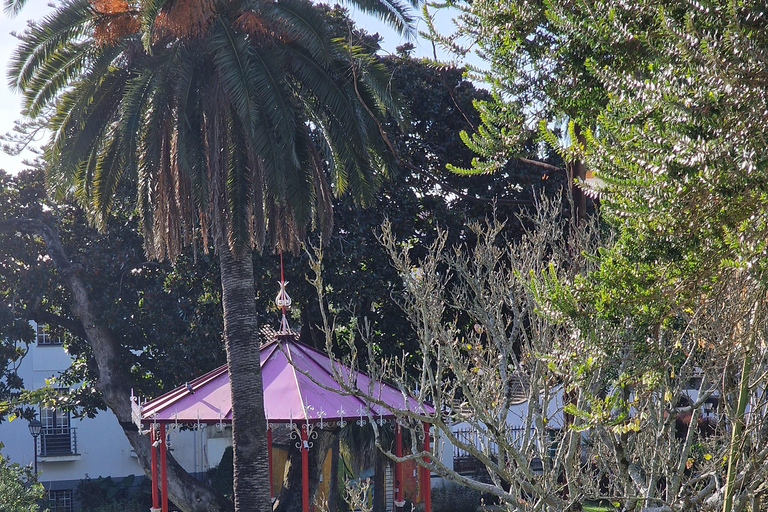 Terceira Island: Full Day South Coast Tour Terceira Island: Full-Day South Coast Tour