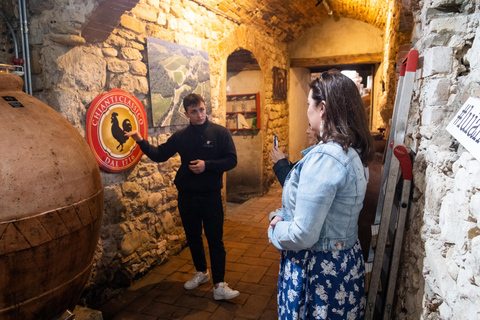 Florence: Chianti Wine Tour with 3 Wineries & Tuscan Lunch