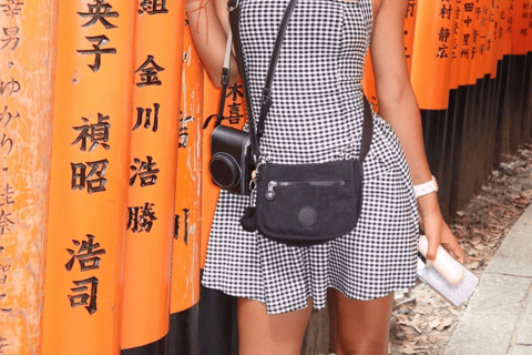 Kyoto Full-Day Customizable Private Tour with English Guide Luxury Toyota Land Cruiser Prado