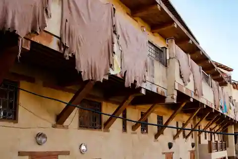 Fez: Private Old Medina Tour Guided Walking
