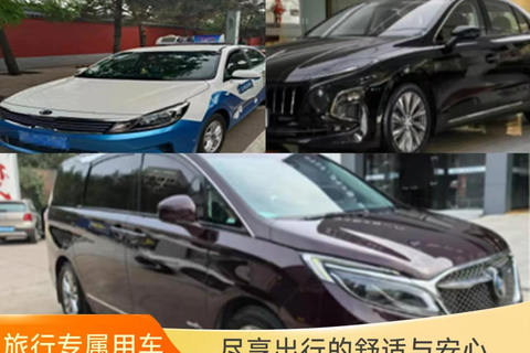 Beijing: Datong Day Trip by Bullet Train with Guide Beijing 1-Day Bullet : Yungang Grottoes & Chinese Culture