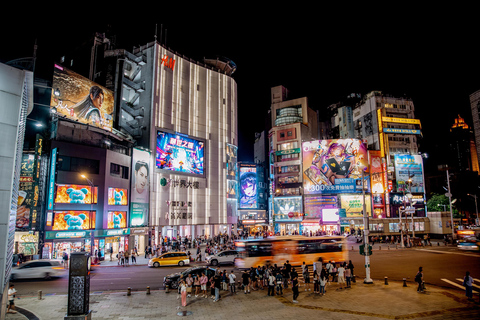 Taipei Nightfall: 4 hours Skyline View, Temple & Neon Market