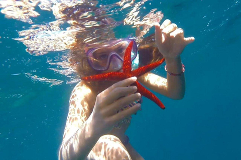 Swim in a Paradise Cove & Enjoy an Amazing Underwater View From Santa Margarita