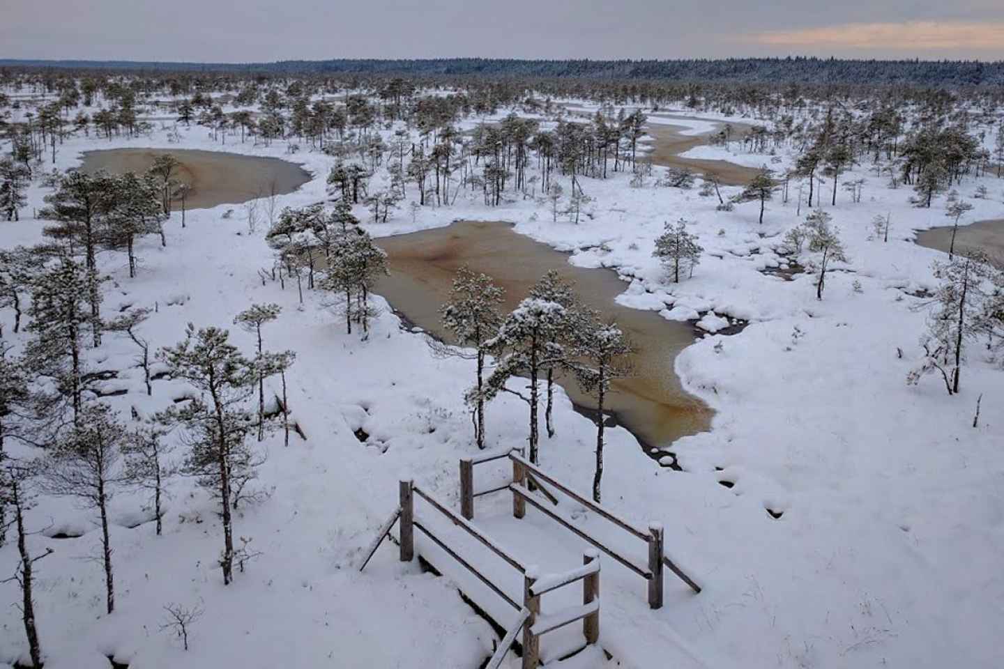 Riga: Tour di Jūrmala e Parco Nazionale Ķemeri con Picnic

- Esplora le Meraviglie di Jūrmala
- Scopri la Natura del Parco Ķemeri
- Goditi un Picnic nel Verde

Prenota Ora e Vivi un'Esperienza Indimenticabile!

- Tour Guidato a Riga: Spiagge e Natura
- Avventura tra Mare e Parco Naturale
- Relax e Divertimento al Parco Ķemeri

Viaggio a Riga: Cultura e Natura da Scoprire!