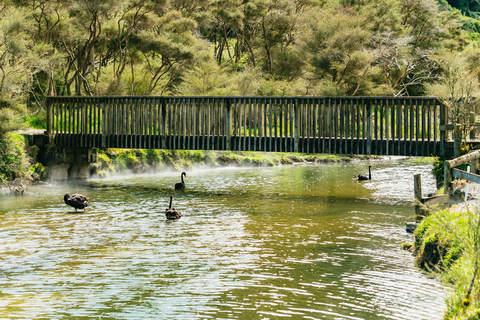 Rotorua: Waimangu Volcanic Valley Entry Ticket