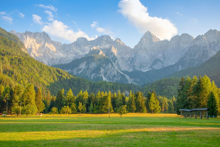 From Bled/Bohinj: Julian Alps & Italy Day Trip with Guide