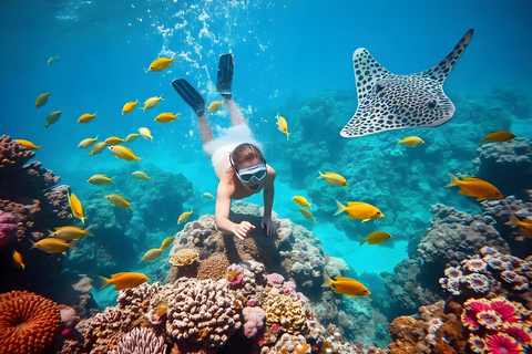 Hurghada: Excursão de mergulho com golfinhos e recifes de coral com almoçoPasseio de barco para observação de golfinhos com snorkeling e almoço