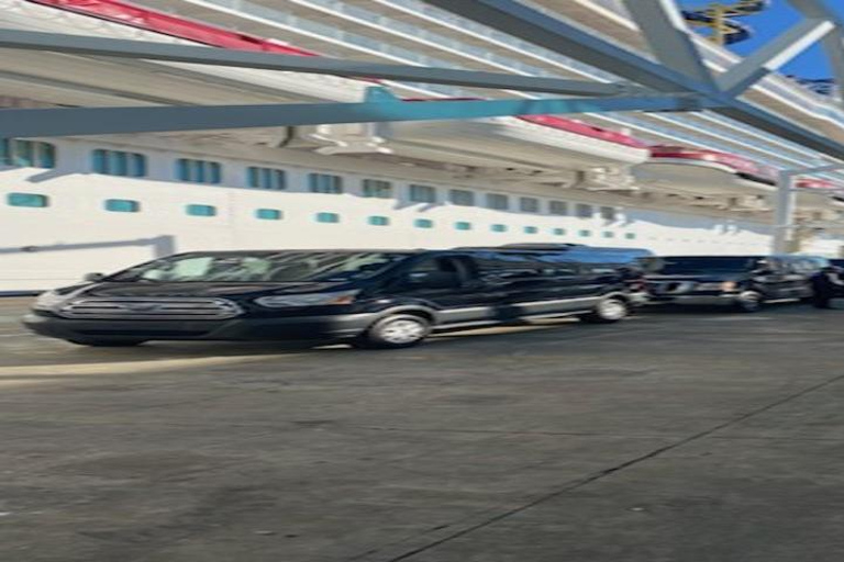 Orlando: Port Canaveral Transfer Service One Way SUV