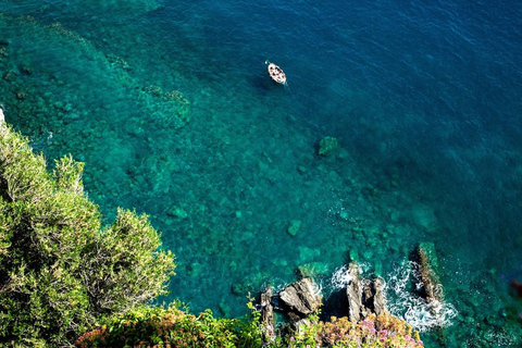 Cinque Terre: Hybrid Boat Tour with Swimming Stop
