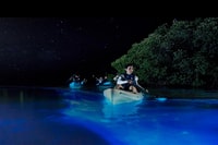 Kayak en Laguna Grande Bahía Bioluminiscente - Hizvo