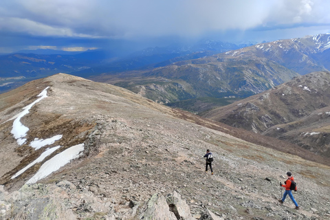 Denali: 5-Hour Guided Wilderness Hiking Tour Denali 4-Hour Hiking Tour