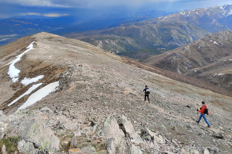 Denali: 5-Hour Guided Wilderness Hiking Tour Denali 4-Hour Hiking Tour