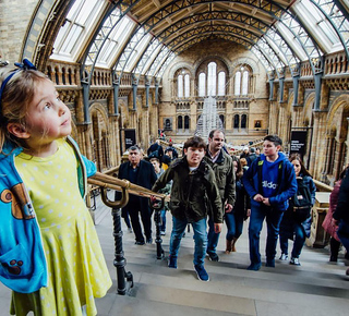 Musées à Nantes: Billets et visites guidées