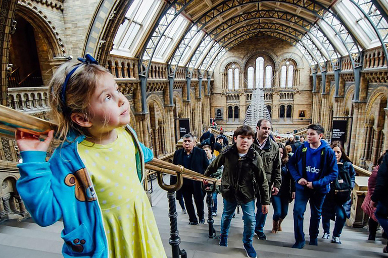 Discover London's Natural Wonders: Museum Expedition