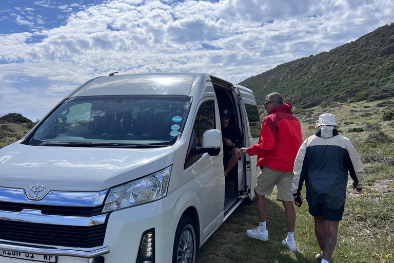 Cape of Good Hope and Penguins Full-Day Private Tour Private tour: Cape of Good Hope and Penguins Full-Day Tour