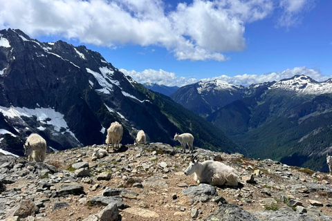 From Seattle: North Cascades National Park Day Tour