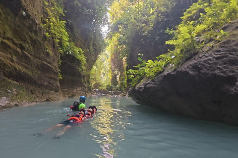 Cebú: Oslob Whaleshark Watching Canyoneering recogida privada