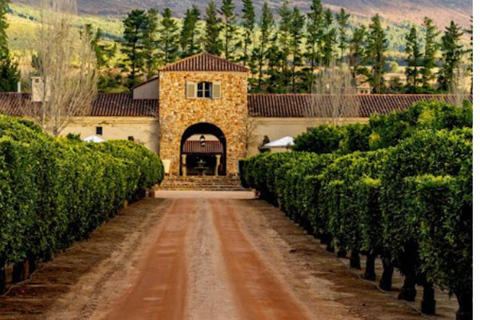 Kapsztad: prywatna wycieczka po winnicach z degustacją i lunchem