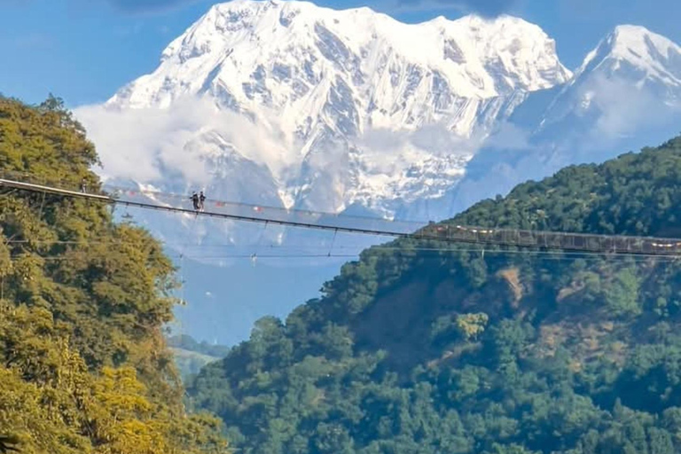 Guided Tour: Explore the rich cultural heritage of PokharaEntire Pokhara Tour