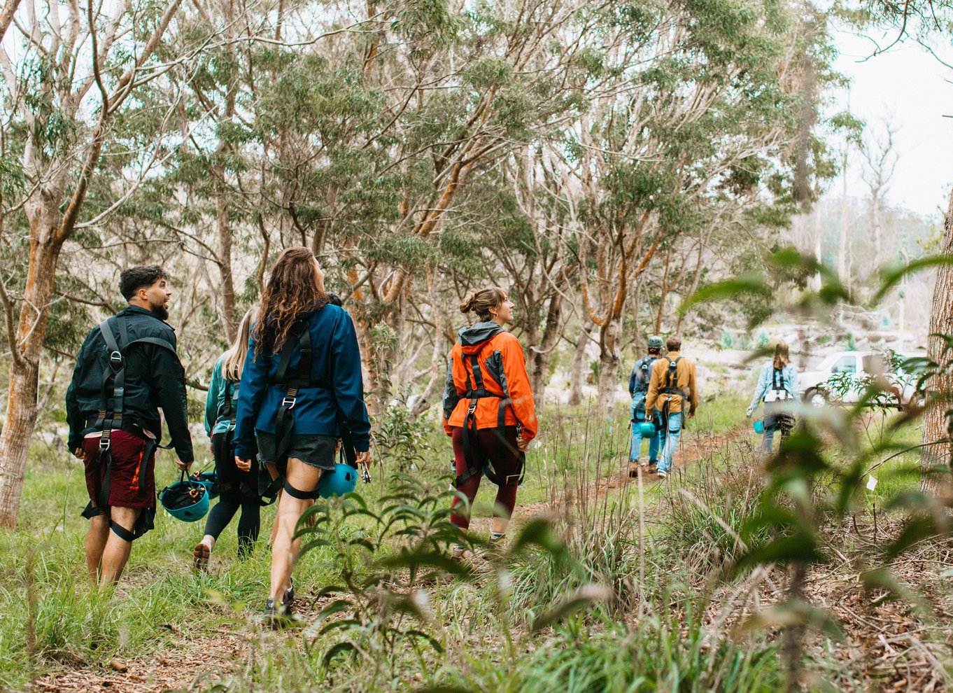 Maui: Haleakala 6-line zipline-eventyr