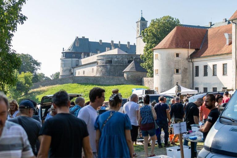From Vienna: Bratislava & Countryside Guided Half Day Tour Private Tour