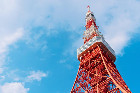 Tokyo: Private 1-Day Tour with English-Driver, Customizable