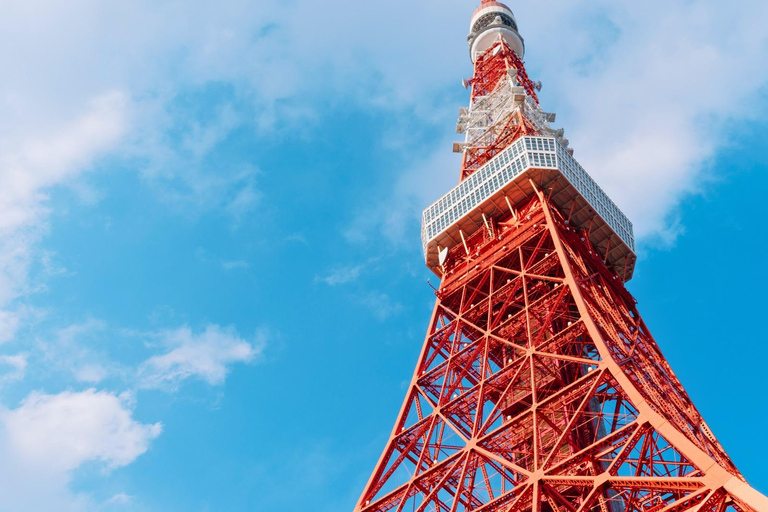 Tokyo: Private 1-Day Tour with English-Driver, Customizable
