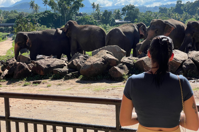 Kandy Pinnawala dagstur från Bentota