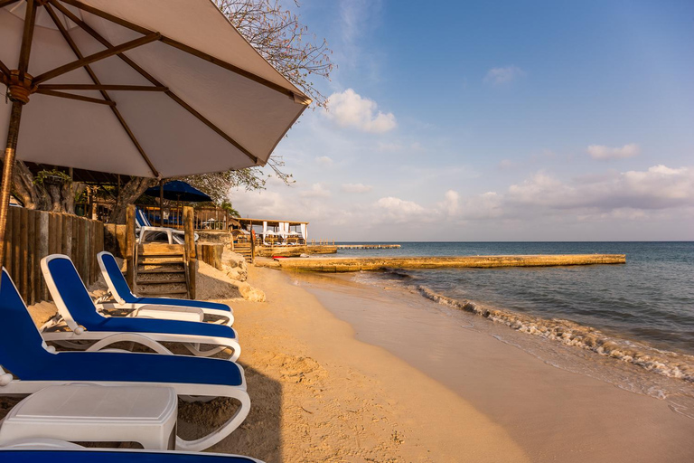 EXPÉRIENCE D'UNE JOURNÉE SUR L'ÎLE DE L'ENCHANTEMENTEXPÉRIENCE D'UNE JOURNÉE À L'ISLA DEL ENCANTO