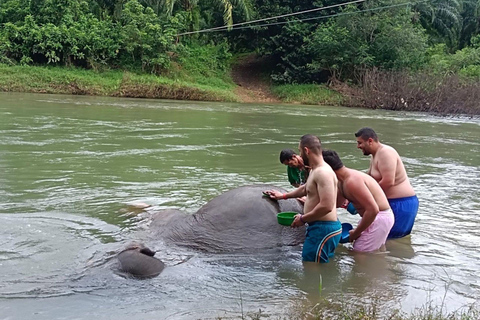 Phuket: Khao Sok 3 dni i 2 noce przygody z 7 posiłkami