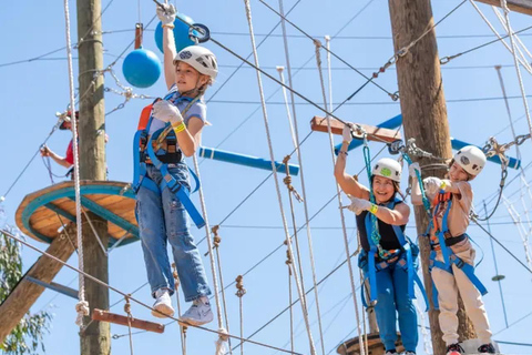 Corona: Customizable Sky Gym Ropes Course Adventure Sky Gym Ropes Course Adventure All Levels