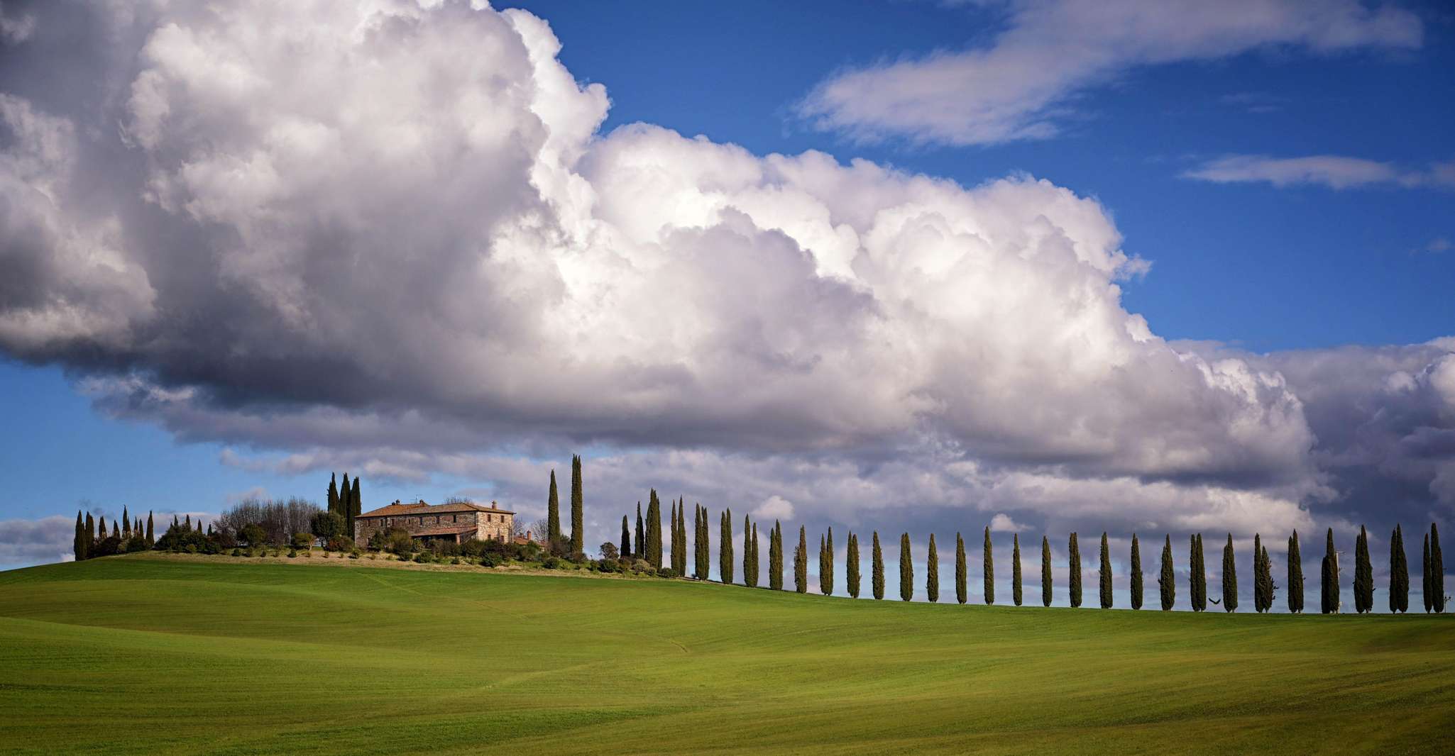 Magic Tuscany Tour photo 2