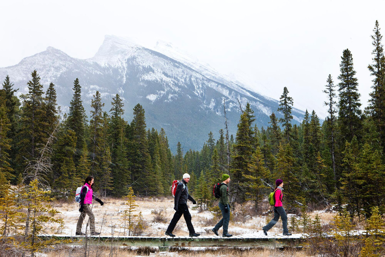 Banff: PRIVATE Guided Nature Walk - 2hrs