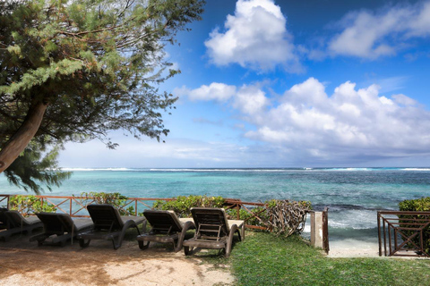 Maurice : Eco-tour de la baie bleue et plongée avec masque et tuba pour la protection du corail