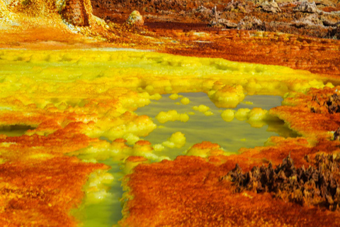 5-tägige Safari-Tour durch Awash und die Danakil-SenkeAddis Abeba: 5-tägige Safari-Tour durch Awash und die Danakil-Senke