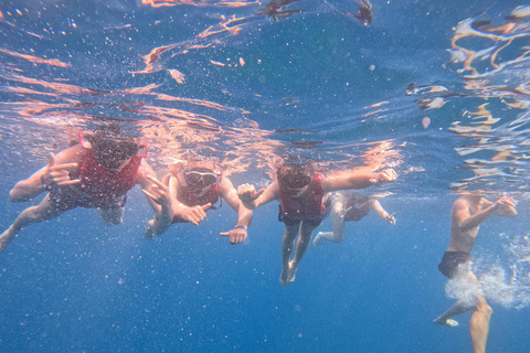 Tenerife: Kayak and Snorkeling Tour with Marine Life