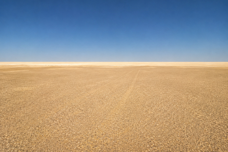 From Cairo: 4x4 Desert Safari, Waterfalls & Magic Lake Shared Tour: Wadi El Rayan, Magic Lake & Lake Qarun, Jeep