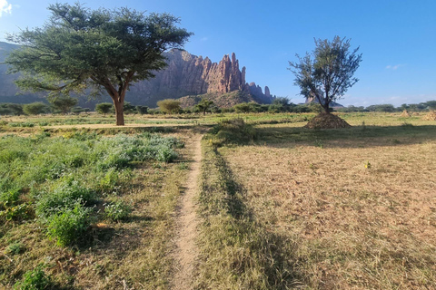 Gheralta Rock-Hewn Churches Tour