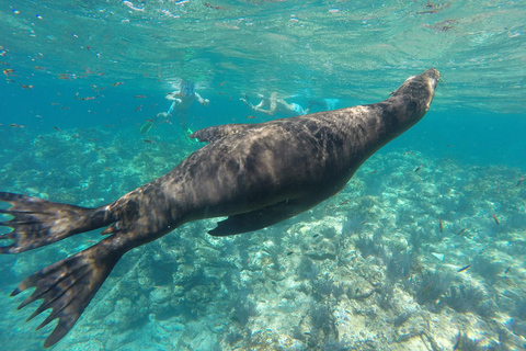 La Paz: Espíritu Santo Island, Balandra Beach, and Sea Lions – All-Inclusive La Paz: Espíritu Santo Island and Balandra, All-Inclusive