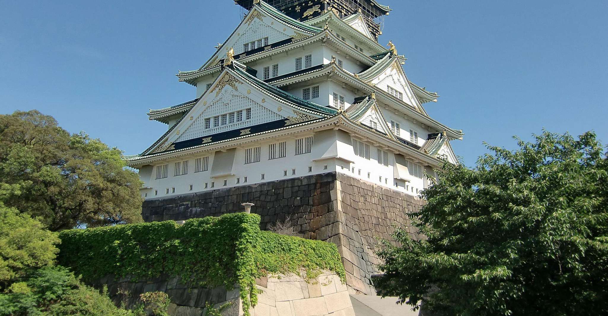 Osaka Castle: Museum and Tower Entry Ticket