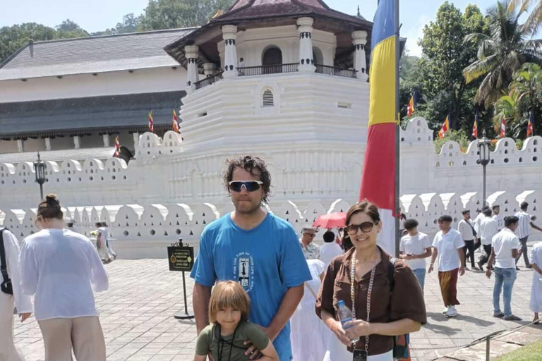 Kandy: Temple of Tooth, Train Ride, & Cave Waterfall Tour