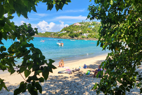 St. Thomas: Customizable Half-Day Tour with Snorkeling
