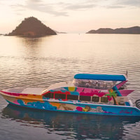 Labuan Bajo, Tagestour Komodo Insel mit Schnellboot - Hizvo