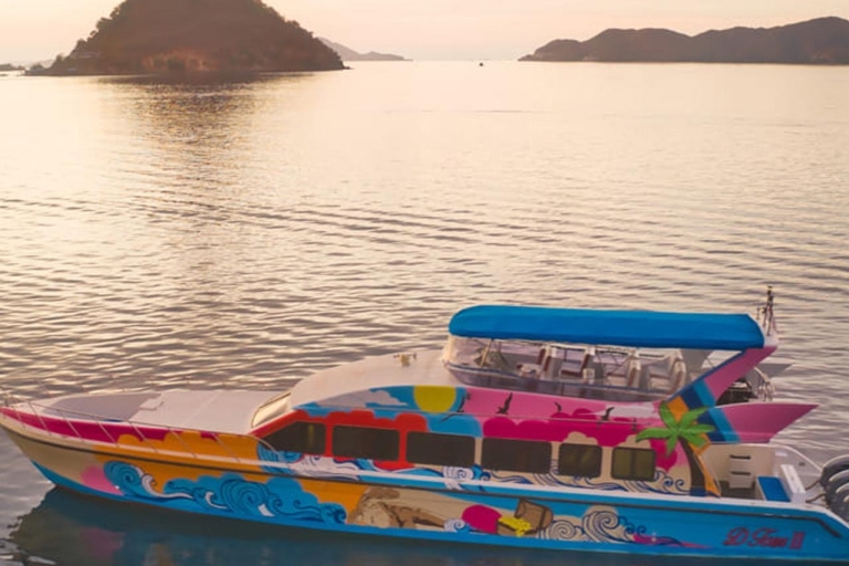 Labuan Bajo : Excursion d'une journée sur l'île de Komodo en bateau rapide