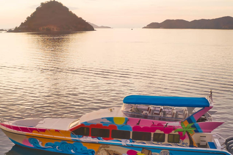 Labuan Bajo : Tour de um dia na Ilha de Komodo com guia localPasseio partilhado de barco lento em Labuan Bajo