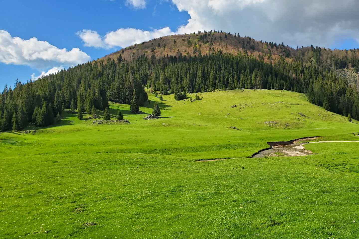 «Из Клуж-Напока: Захватывающий поход по Карпатам»