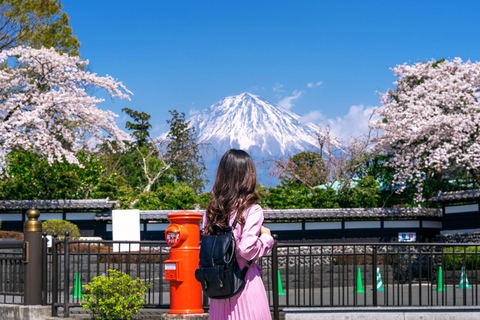 Tokyo: Mt Fuji Customizable Tour with Lakes & Pagoda
